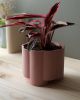 Pillar Planter | Vases & Vessels by Misewell