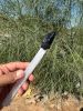 Obsidian Arrowhead & Selenite Spear Athame' | Public Art by Pima Sage