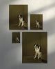 Milan Dog Cafe Print, Italian Trattoria Wall Art, Giclée Dog Painting | Prints by The Ugly Cat Studio
