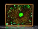 Lucidity - Illuminated wood and resin wall art | Mixed Media by Scott Williams - Unique Originals