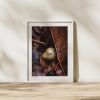 Photograph • Vacancy, Snail Shell, PNW, Oregon, Macro | Photography by Honeycomb. Item composed of metal and paper in boho style