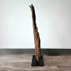 Driftwood Sculpture "Acclivity" | Sculptures by Sculptured By Nature  By John Walker. Item composed of wood in minimalism style