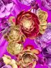 Santa Monica Succulents Photomontage- 4 Versions | Photography by Joanie Landau
