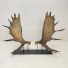 Moose Paddle Sculpture | Sculptures by Farmhaus + Co.. Item made of wood