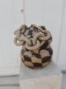 Dancing Checkered Chain vase | Vases & Vessels by isiko