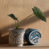 Kolo (Gloopy) Planter - 2 sizes | Vases & Vessels by Misewell