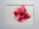 crimson drift| abstract original art | Watercolor Painting in Paintings by Megan Spindler