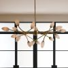 Alan Mizrahi PS1607 Ember | Chandeliers by Alan Mizrahi Lighting Design