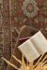 Richey | 3'5 x 16'1 | Runner Rug in Rugs by District Loom