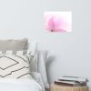 Pink Flower Wall Art: Lotus Nature Photo Loose Print | Photography by PIPA Designs