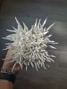 White-on-white sculpture on canvas, square canvas art | Wall Sculpture in Wall Hangings by Natasha Kanevski. Item made of canvas compatible with minimalism and contemporary style