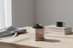 Blush Sand Hex Set | Planter in Vases & Vessels by RAW & UNIQ