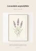 Botanical Watercolor Art Prints Bundle 18 Pages Printable Wall Art Eucalyptus Peony Olive Monstera Lavender Digital Download A4 Home Decor | Digital Art in Art & Wall Decor by Colorize Paper Studio