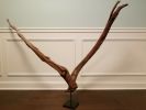 Driftwood Sculpture "Wishing On" | Sculptures by Sculptured By Nature  By John Walker. Item composed of wood in minimalism style