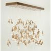 Alan Mizrahi AK3004Z Rectangle Seed | Chandeliers by Alan Mizrahi Lighting Design