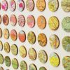 Three Hundred and Twenty Four World Map Dots Concentric Squares Rainbow | Collage in Paintings by Amelia Coward