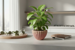 Canyon Ribbed Flute Classic Planter | Vases & Vessels by RAW & UNIQ