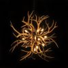 Alan Mizrahi KA1900 Lucite Antlers | Chandeliers by Alan Mizrahi Lighting Design