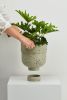 Funnel Planter | Vases & Vessels by Capra Designs