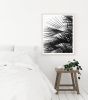 Minimalist palm tree wall art, "Palm Fronds" photograph | Photography by PappasBland. Item composed of paper in minimalism or contemporary style