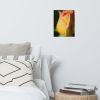 Floral Wall Art: Dew on Yellow Rose Botanical Nature Photo | Photography by PIPA Designs