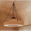Alan Mizrahi PS9015 Orion Chandelier | Chandeliers by Alan Mizrahi Lighting Design