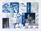 Alpine Botanical Quilt One | Collage in Paintings by Kathy Ferguson Art