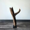 Driftwood Art Sculpture "Don't Ask Why" | Sculptures by Sculptured By Nature  By John Walker. Item composed of wood in minimalism style