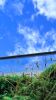 Abandoned Beach Art By Moss Art Installations | Decorative Frame in Decorative Objects by Moss Art Installations