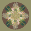 Botanical mandala #1 | Photography by Louise O'Gorman