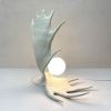 Moose Antler Lamp - White | Table Lamp in Lamps by Farmhaus + Co.. Item made of ceramic