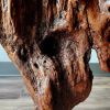 Driftwood Art Sculpture "Contour Cranium" | Sculptures by Sculptured By Nature  By John Walker. Item made of wood works with minimalism style