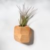 GEORGIA Red Oak Air Plant Holder | Planter in Vases & Vessels by Untitled_Co