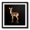 Damselfly - Square | Prints by Western Mavrik