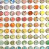 Three Hundred and Twenty Four Map Dots Rainbow Concentric Squares Collage | Paintings by Amelia Coward