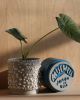 Kolo (Gloopy) Planter - 2 sizes | Vases & Vessels by Misewell