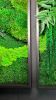 Botanical Garden Moss Art By Moss Art Installations | Decorative Frame in Decorative Objects by Moss Art Installations