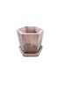Blush Sand Hex Set | Planter in Vases & Vessels by RAW & UNIQ