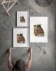 Toad King Watercolor Art Print, Storybook Animal Wall Art, Crowned Frog Painting | Prints in Paintings by The Ugly Cat Studio