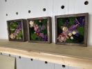 Moss Wall Art, Pressed Flower Art, Preserved Moss Decor | Living Wall in Plants & Landscape by Sarah Montgomery