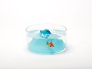 Space Mountain Fishbowl | Decorative Objects by Esque Studio