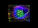 Oceanic - Resin Light Sculpture | Mixed Media by Scott Williams - Unique Originals