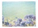 Surfing Through Gardens | Photography by She Hit Pause. Item composed of paper