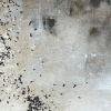 Cash | Mixed Media in Paintings by Mande Calhoun Art