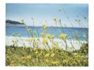 The colors of wind and warmth | Photography by She Hit Pause. Item made of paper