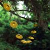 Disc String Lights | Pendants by Pigeon Toe Ceramics. Item composed of stoneware
