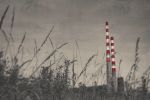 By the banks of the Pigeon House | Photography by Louise O'Gorman