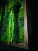 Biophilic Design Walnut Moss Wall | Decorative Frame in Decorative Objects by Moss Art Installations