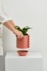 Frill Feature Planter | Vases & Vessels by Capra Designs