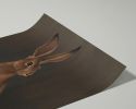 The Hare - Brown Edition | Prints by The Ugly Cat Studio